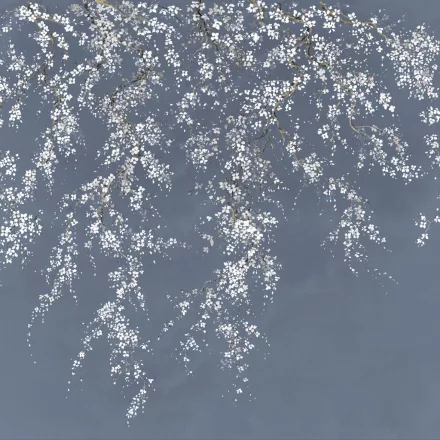 K'moor / Ambience poszter