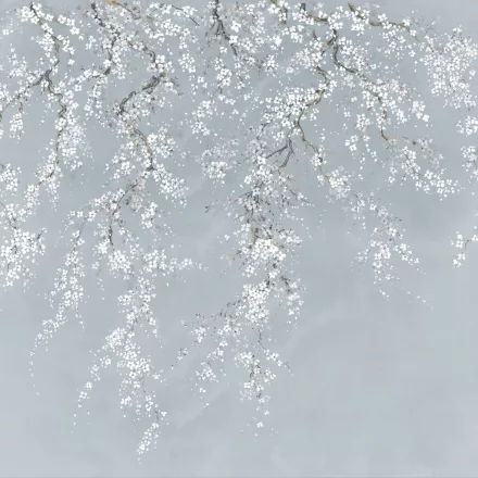 K'moor / Ambience poszter