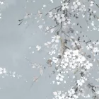 K'moor / Ambience poszter