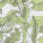 K'moor / Ambience poszter