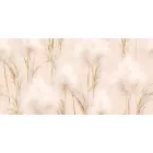 K'moor / Ambience poszter