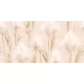 K'moor / Ambience poszter