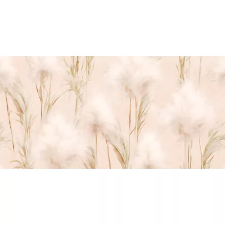 K'moor / Ambience poszter