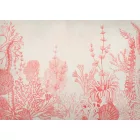 K'moor / Ambience poszter