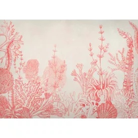 K'moor / Ambience poszter