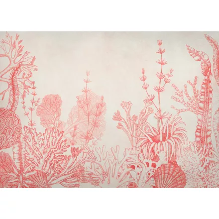 K'moor / Ambience poszter