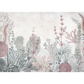 K'moor / Ambience poszter