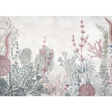 K'moor / Ambience poszter