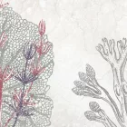 K'moor / Ambience poszter