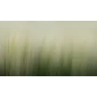 K'moor / Ambience poszter