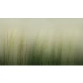 K'moor / Ambience poszter