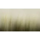 K'moor / Ambience poszter