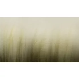 K'moor / Ambience poszter