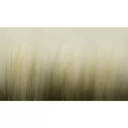 K'moor / Ambience poszter