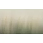 K'moor / Ambience poszter