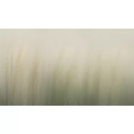 K'moor / Ambience poszter