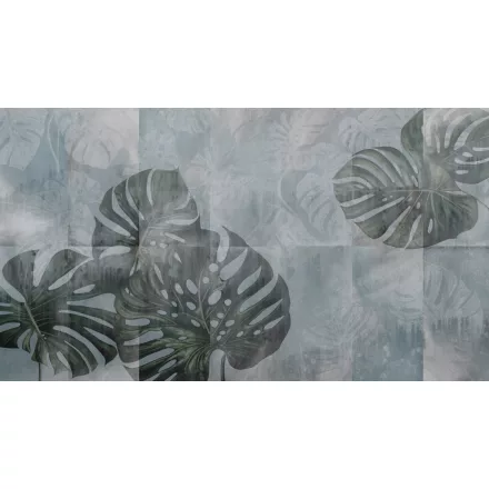 K'moor / Ambience poszter