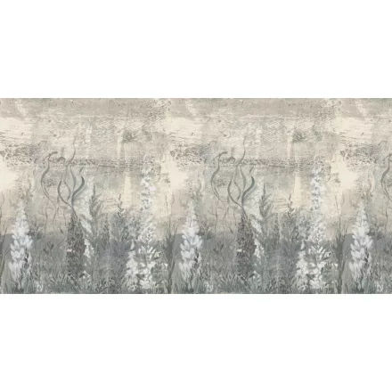 K'moor / Ambience poszter