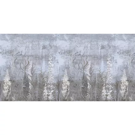 K'moor / Ambience poszter