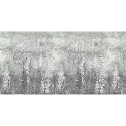 K'moor / Ambience poszter