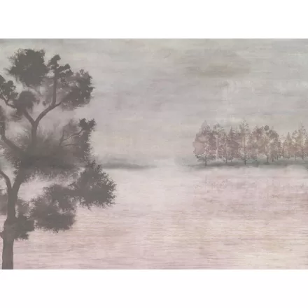 K'moor / Ambience poszter