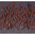 K'moor / Ambience poszter