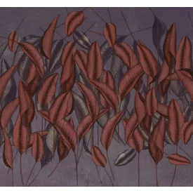 K'moor / Ambience poszter