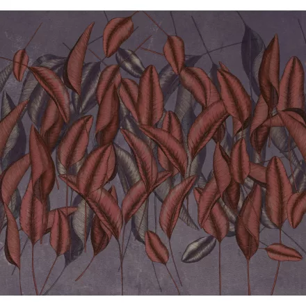 K'moor / Ambience poszter