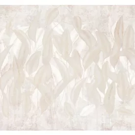 K'moor / Ambience poszter