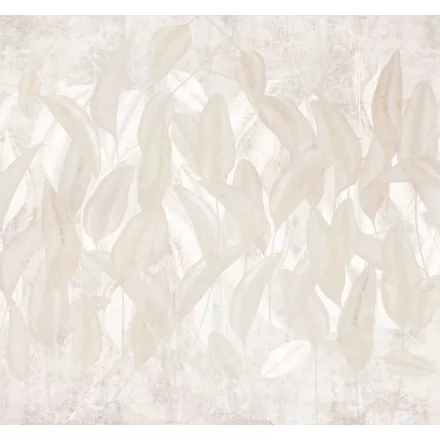 K'moor / Ambience poszter