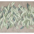 K'moor / Ambience poszter