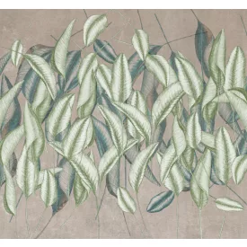 K'moor / Ambience poszter