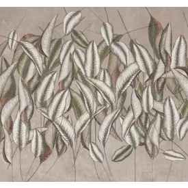 K'moor / Ambience poszter