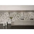 K'moor / Ambience poszter