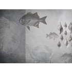 RIMURA / Main Collection