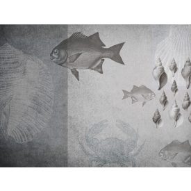 RIMURA / Main Collection