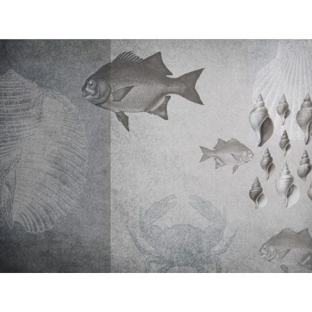 RIMURA / Main Collection