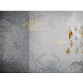 RIMURA / Main Collection