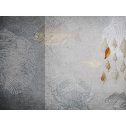 RIMURA / Main Collection