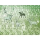 RIMURA / Main Collection