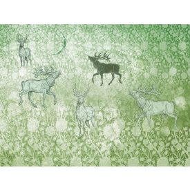 RIMURA / Main Collection