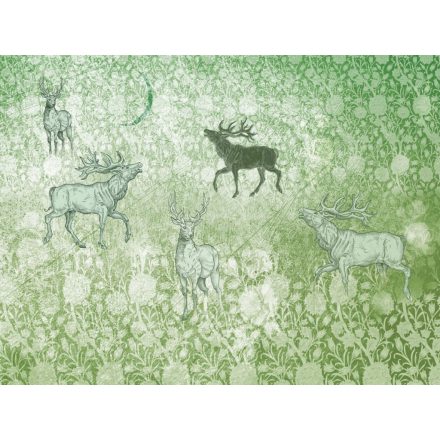 RIMURA / Main Collection