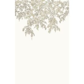 Caselio / Art of Botany tapéta