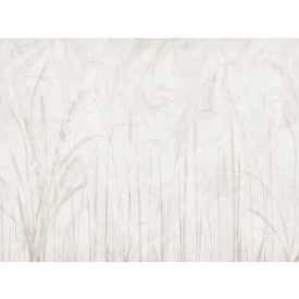 RIMURA / Main Collection