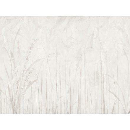 RIMURA / Main Collection