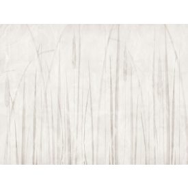 RIMURA / Main Collection