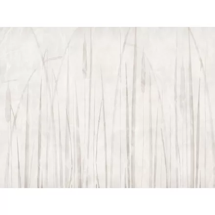 RIMURA / Main Collection