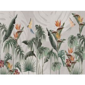 RIMURA / Main Collection