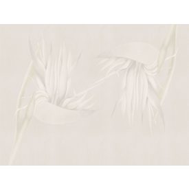 RIMURA / Main Collection