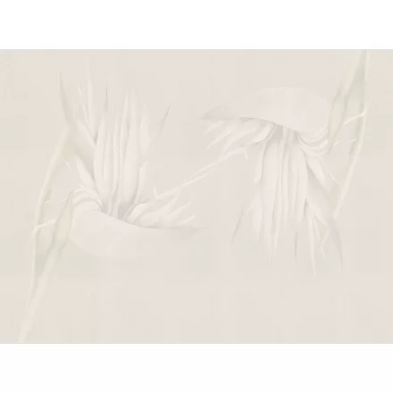 RIMURA / Main Collection